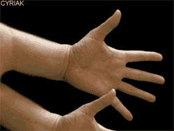 p_1574i3ge41.gif