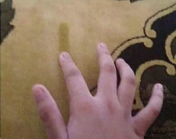 ���� ���� ������ �� ���� ������