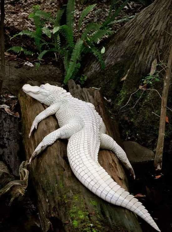 ���� ���� ������ �� ���� ������