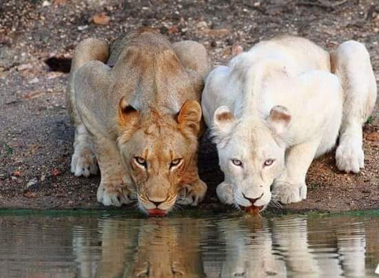 ���� ���� ������ �� ���� ������