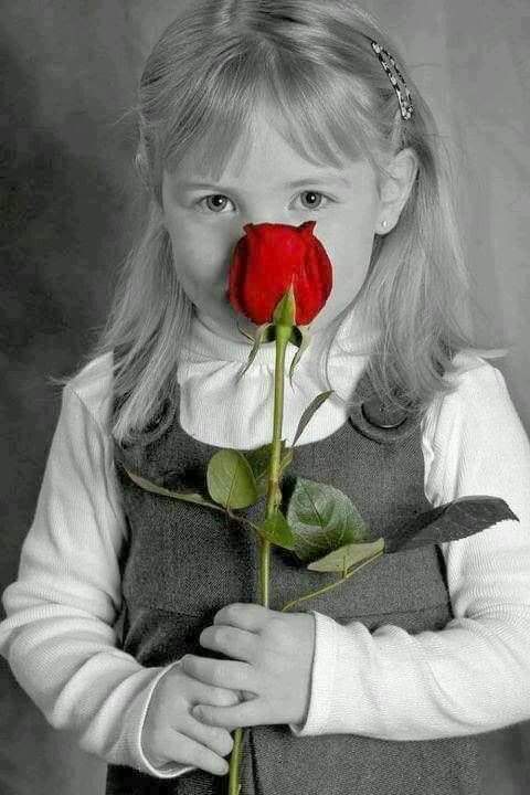 ���� ���� ������ �� ���� ������