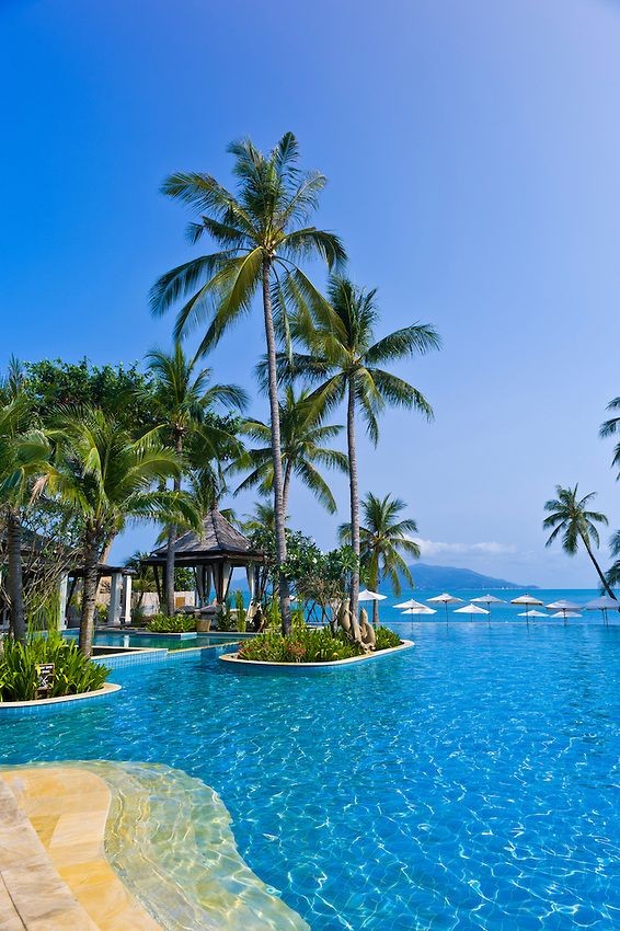 ���� ���� ������ �� ���� ������