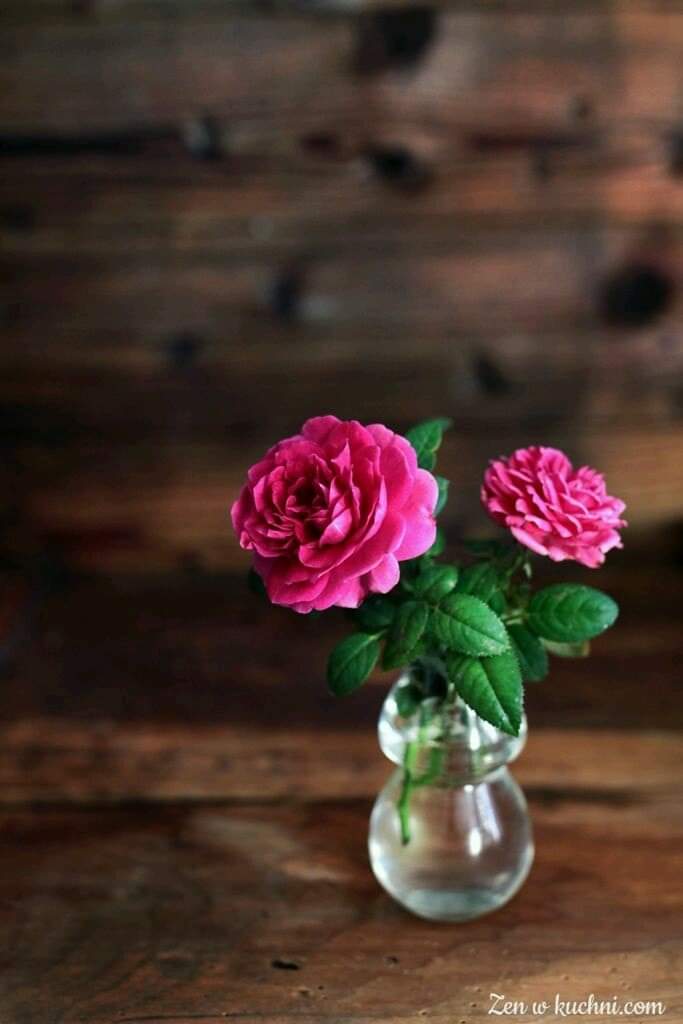 ���� ���� ������ �� ���� ������