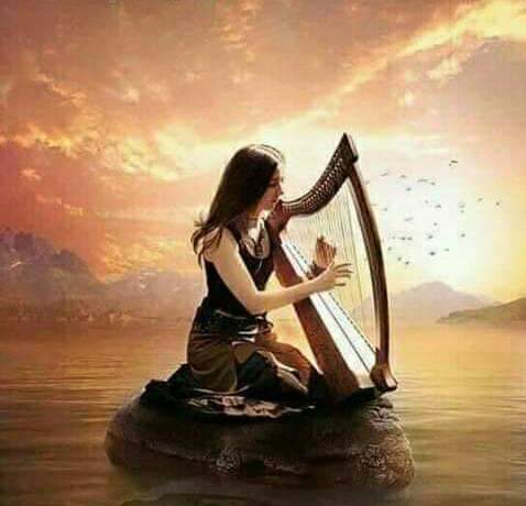 ���� ���� ������ �� ���� ������