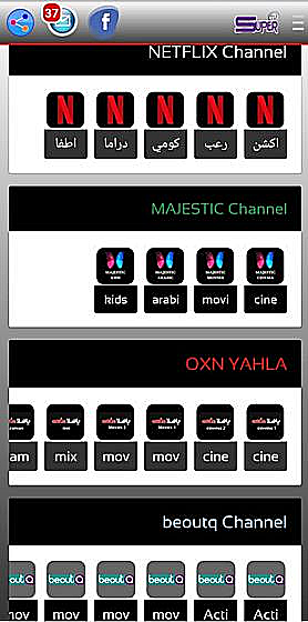 Netflix Channels