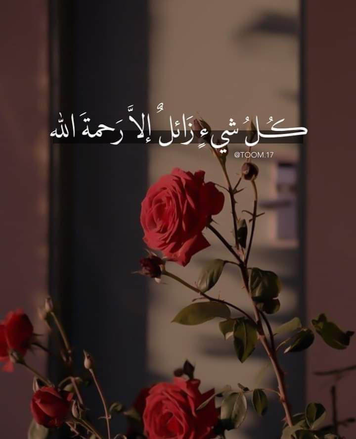 ���� ���� ������ �� ���� ������