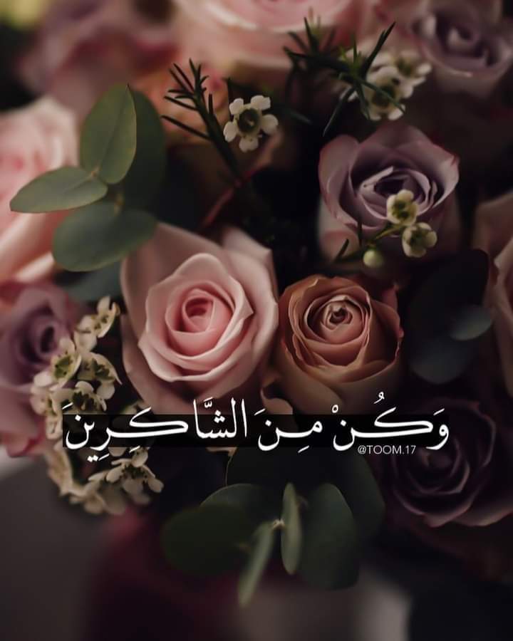 ���� ���� ������ �� ���� ������