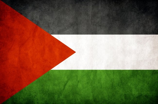 قصة علم فلسطين.. من الثورة العربية إلى الثورة الفلسطينية P_1967rh1l44