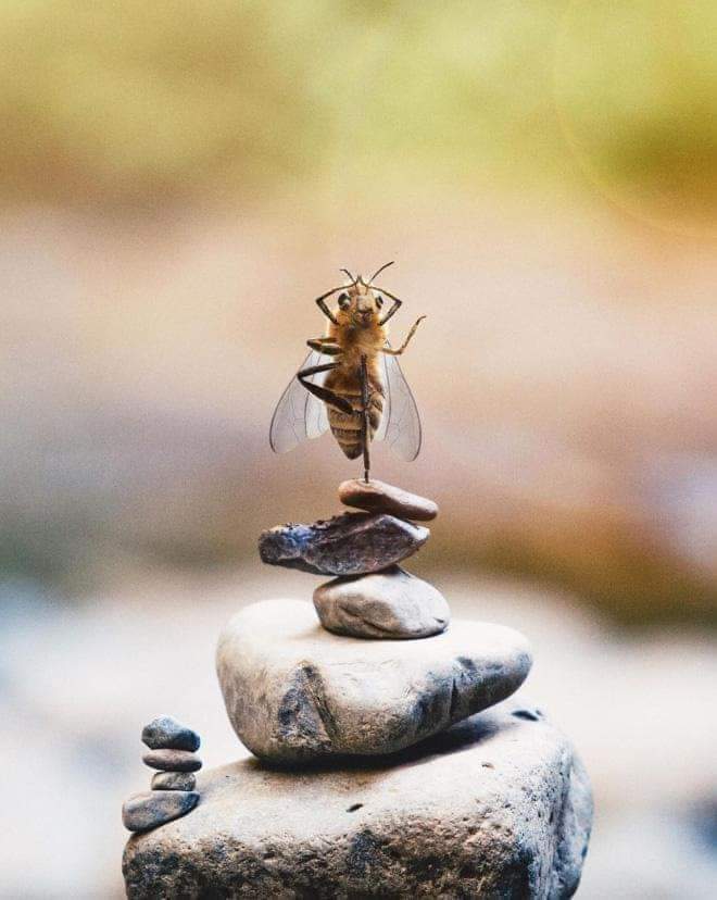 ���� ���� ������ �� ���� ������