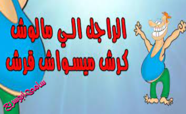 p_2086n5vd81.png