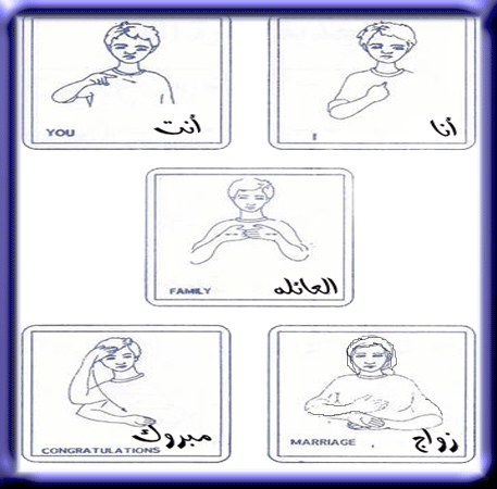 ���� ������� ������ p_2226lj6r22.gif