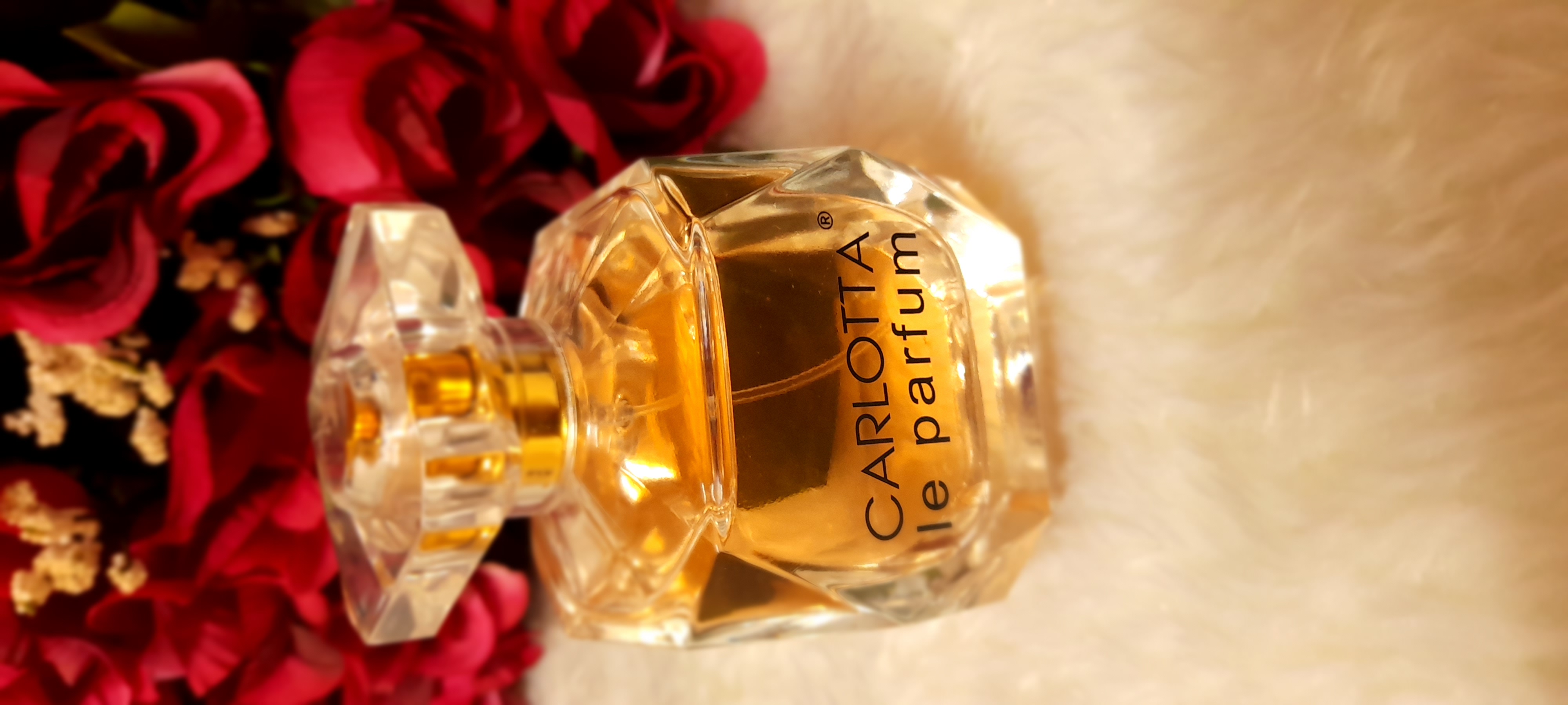 ���� ���� ������ �� ���� ������