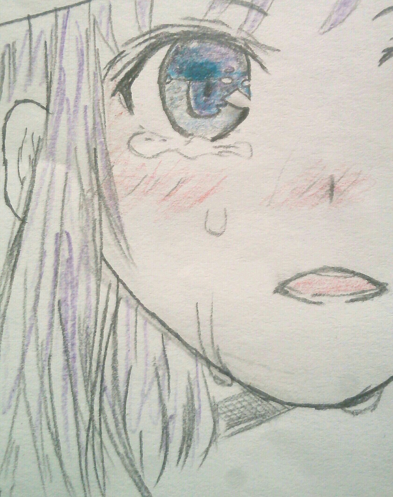 ���� ���� ������ �� ���� ������