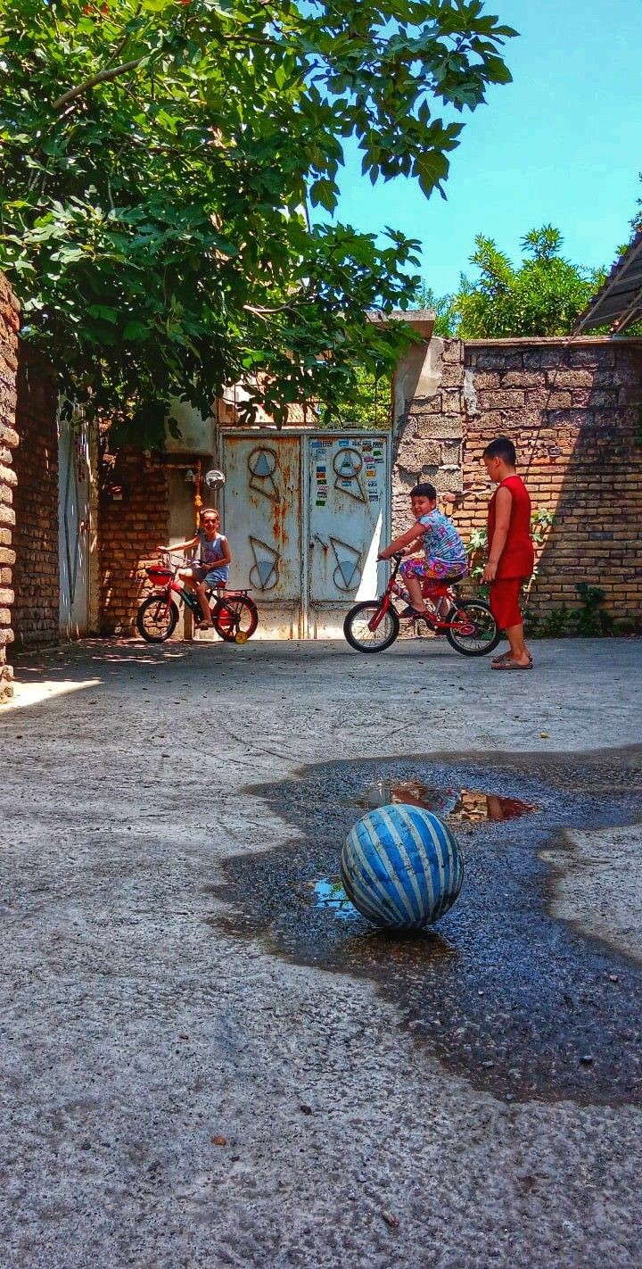 ���� ���� ������ �� ���� ������