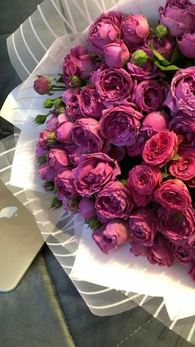 ���� ���� ������ �� ���� ������