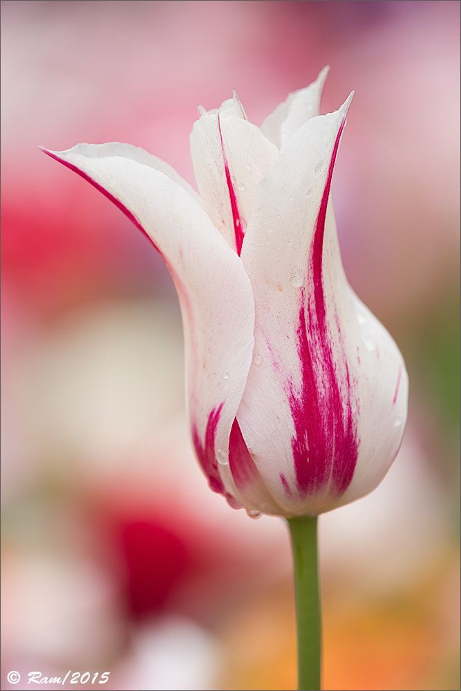 ���� ���� ������ �� ���� ������