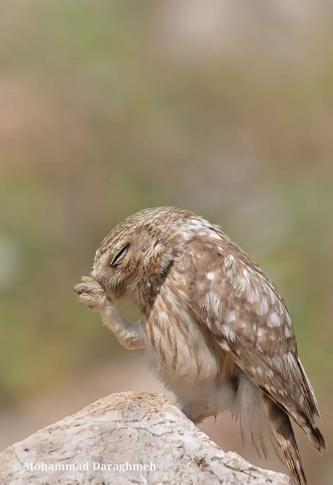 ���� ���� ������ �� ���� ������