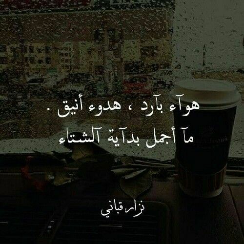 ���� ���� ������ �� ���� ������