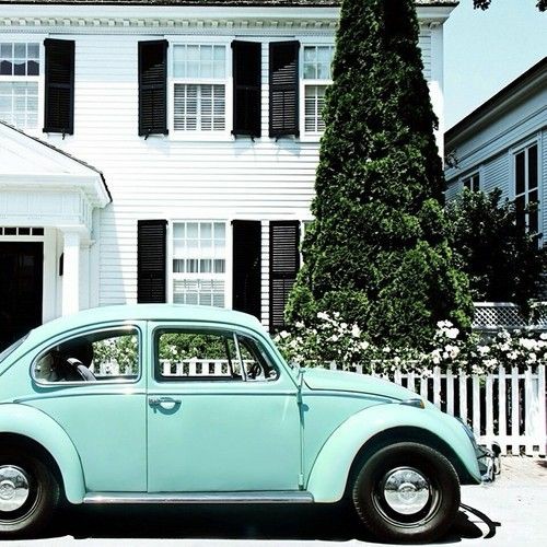 ���� ���� ������ �� ���� ������