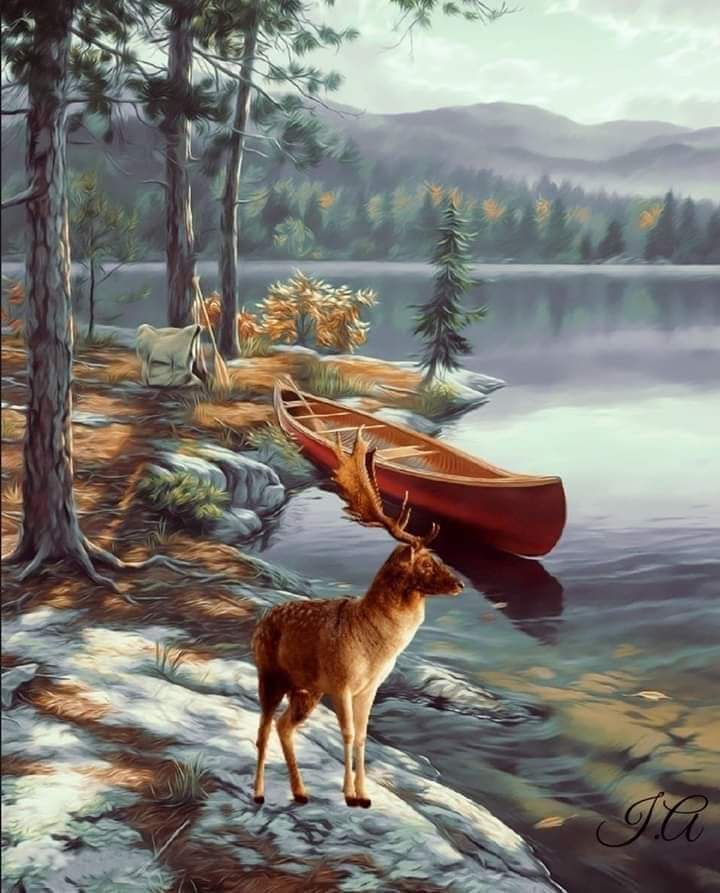 ���� ���� ������ �� ���� ������