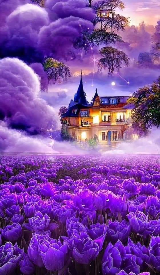 ���� ���� ������ �� ���� ������