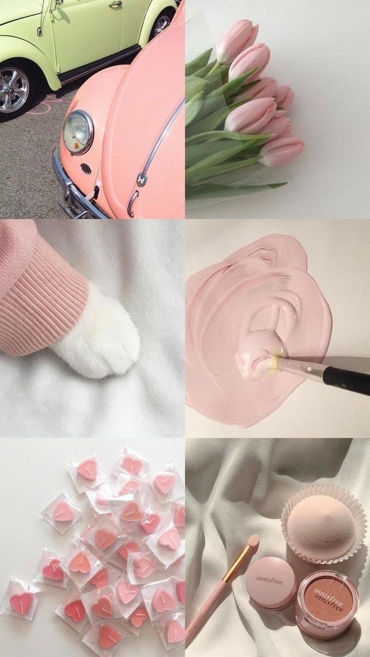 ���� ���� ������ �� ���� ������