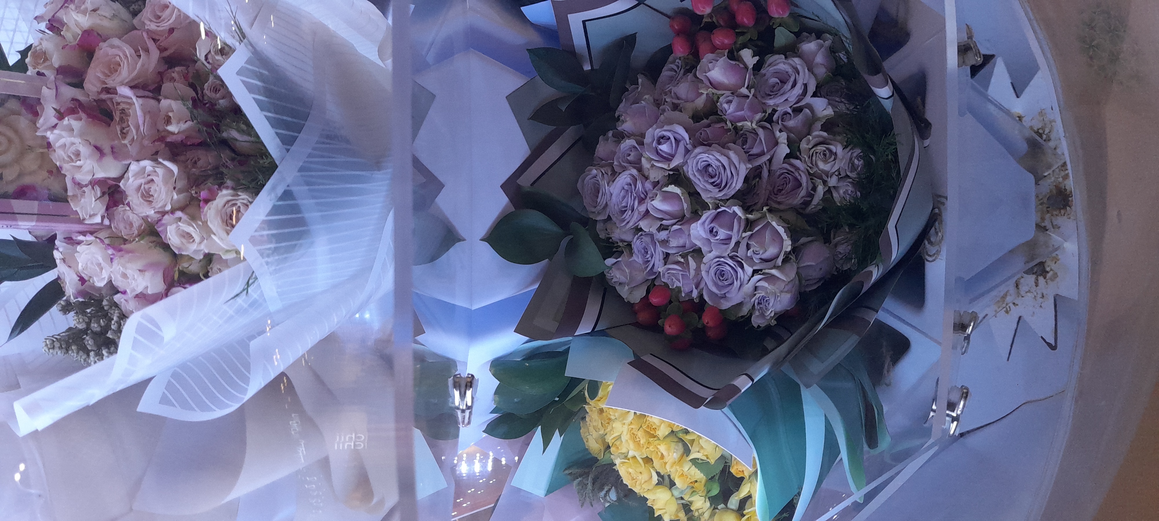 ���� ���� ������ �� ���� ������