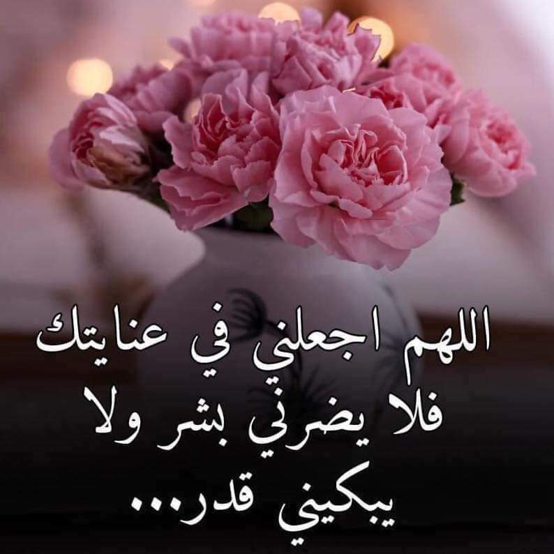 ���� ���� ������ �� ���� ������