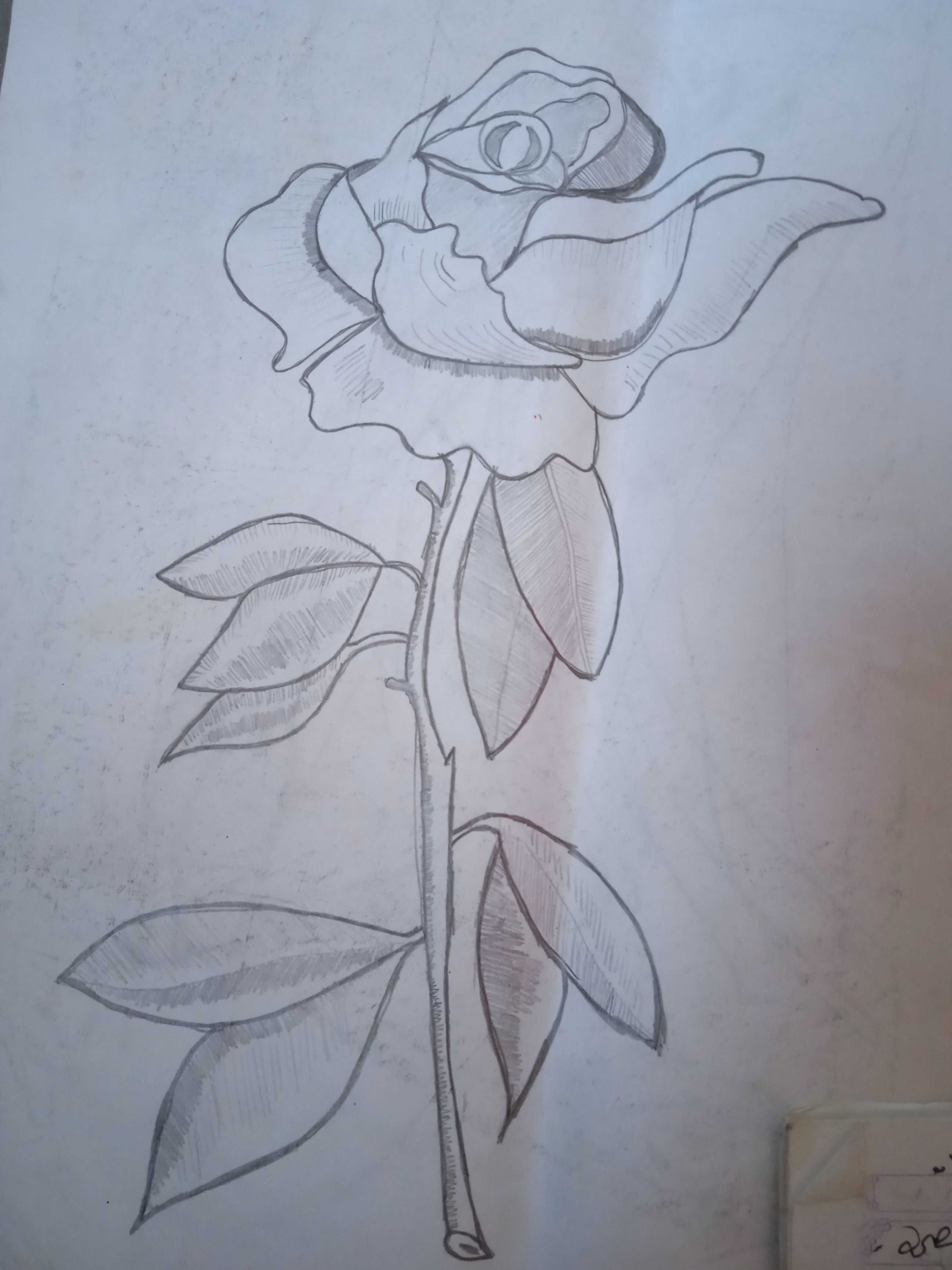 ���� ���� ������ �� ���� ������