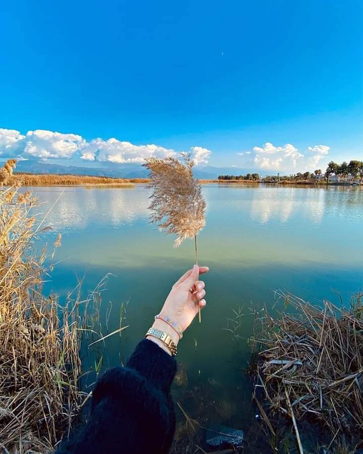 ���� ���� ������ �� ���� ������