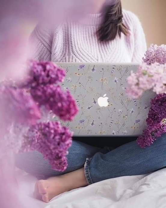 ���� ���� ������ �� ���� ������