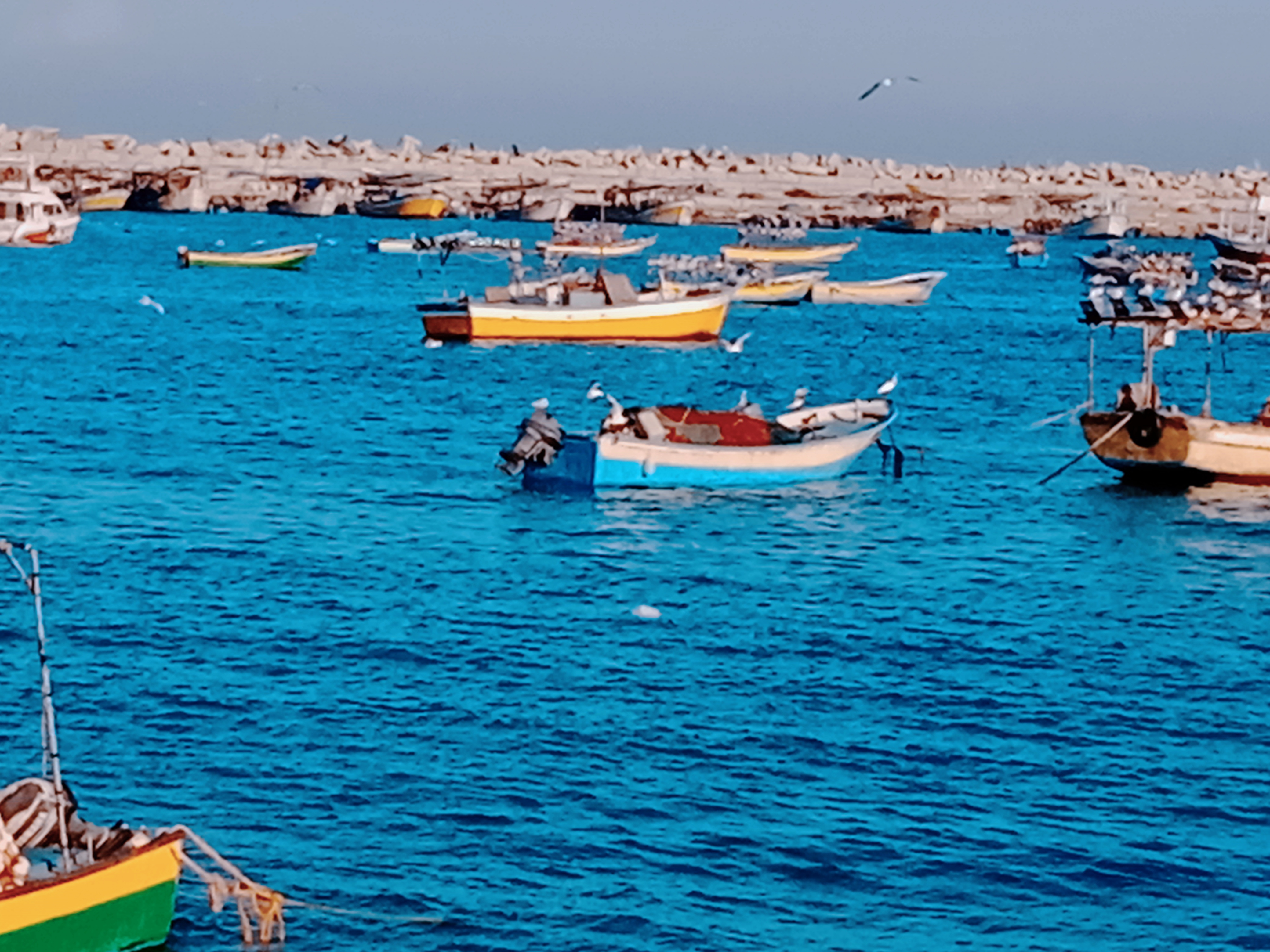 نقره لعرض الصورة في صفحة مستقلة