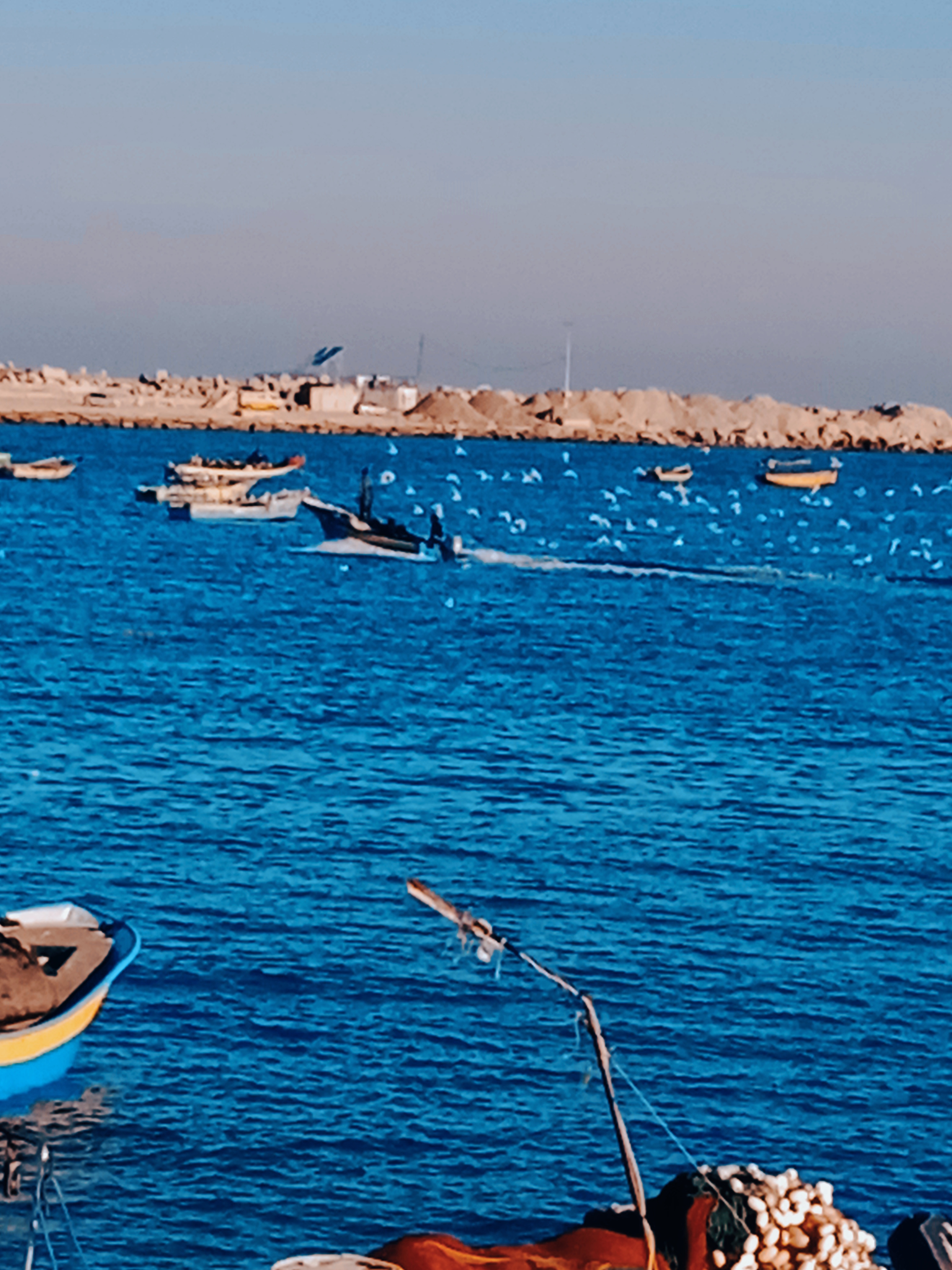 نقره لعرض الصورة في صفحة مستقلة