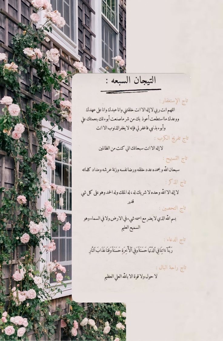 ���� ���� ������ �� ���� ������