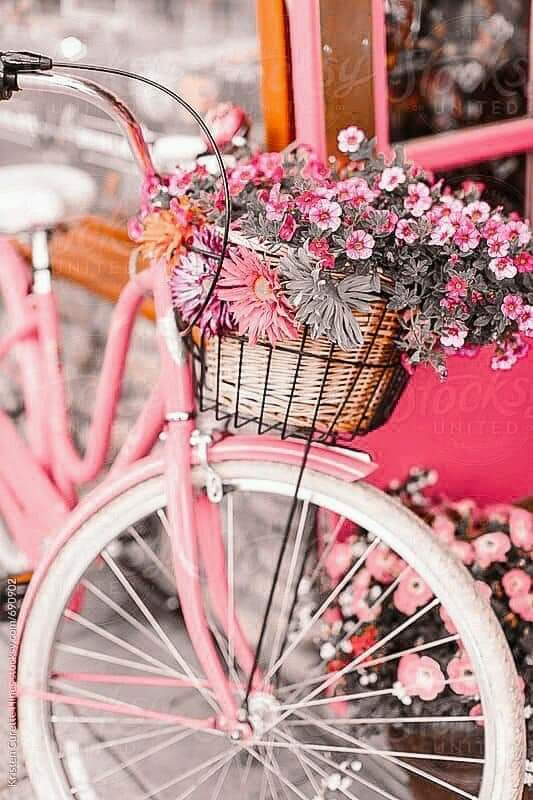 ���� ���� ������ �� ���� ������