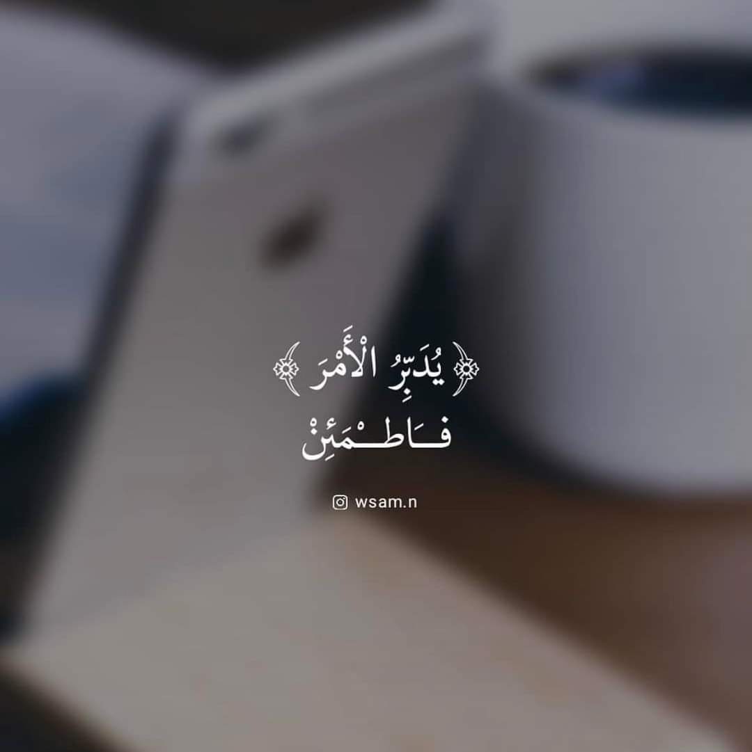 ���� ���� ������ �� ���� ������