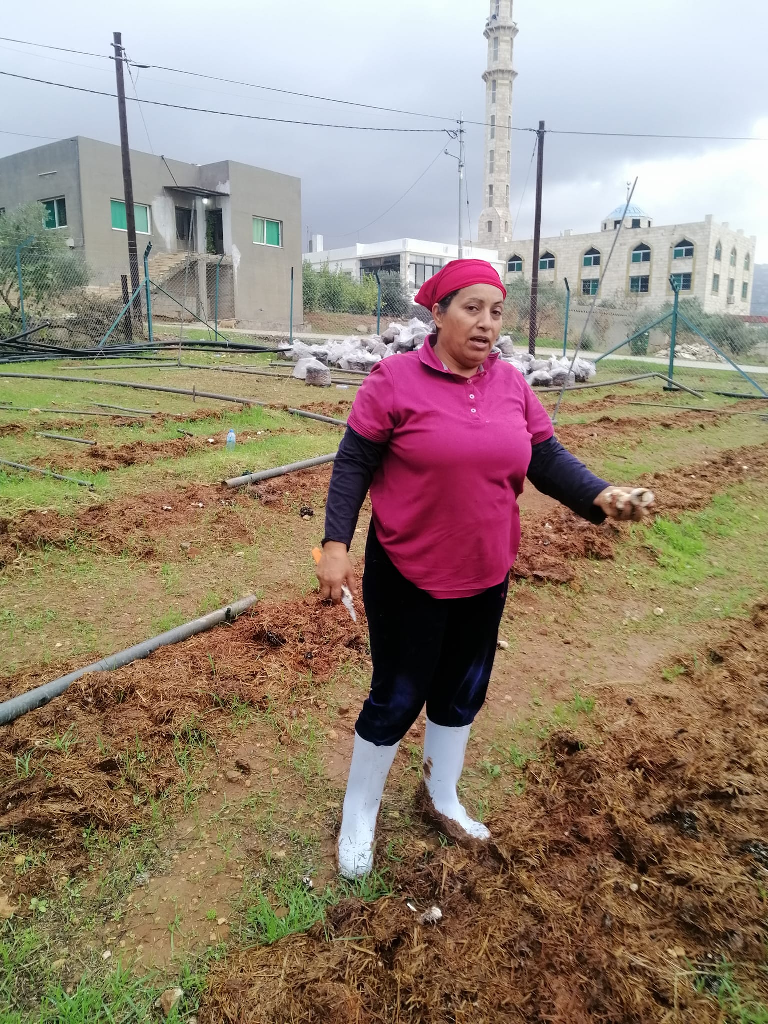 سماح الطالب