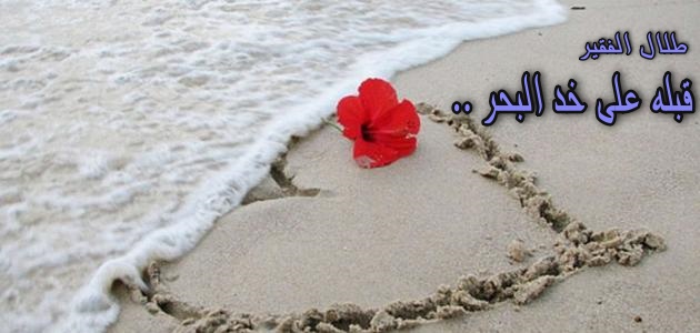 ���� �����