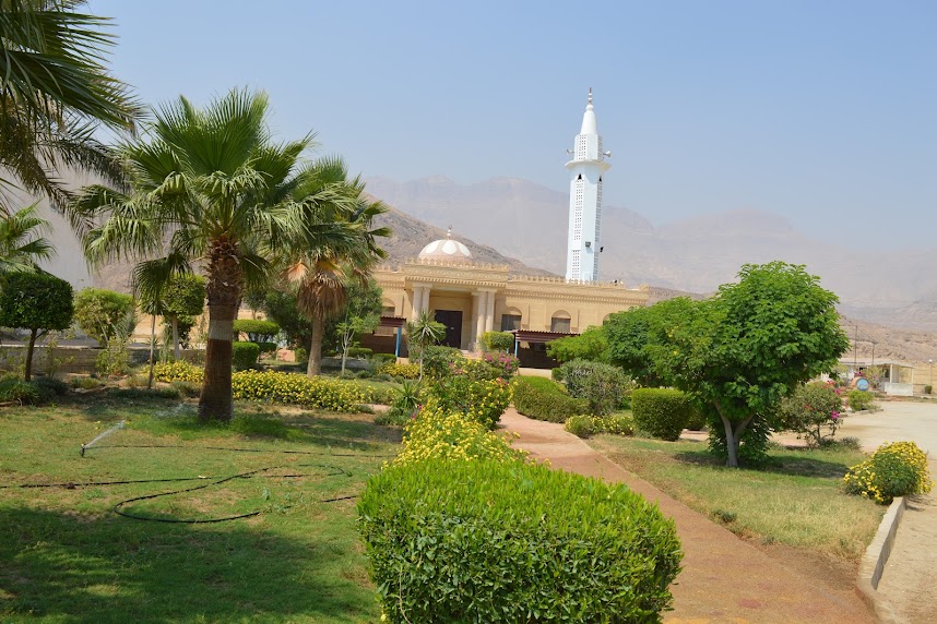 Hijaz Oasis image 11