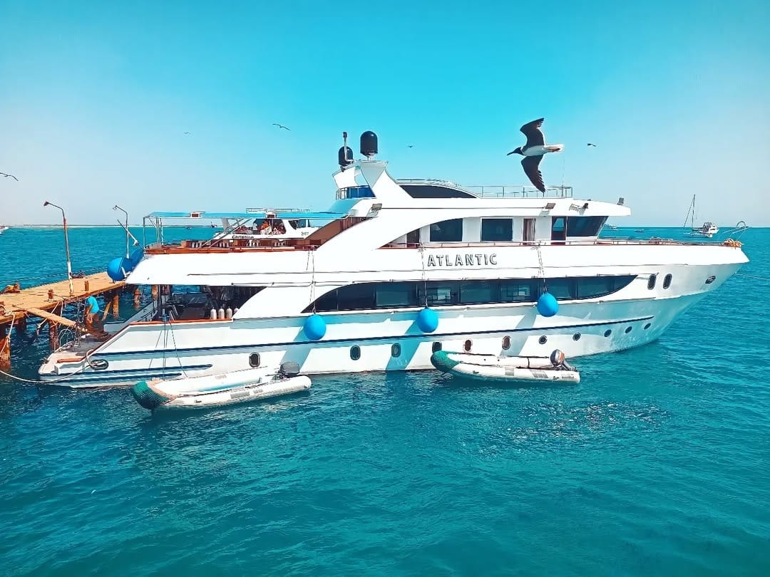 Falcon-Tours Journey