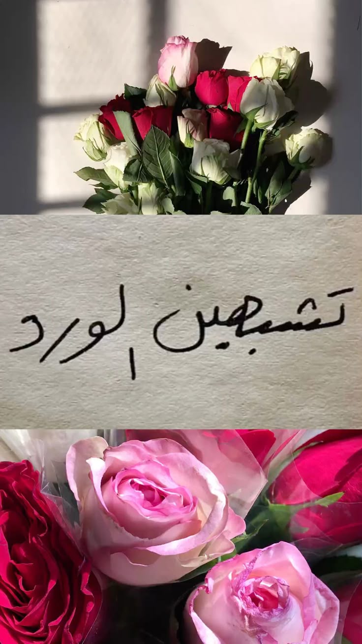 ���� ���� ������ �� ���� ������