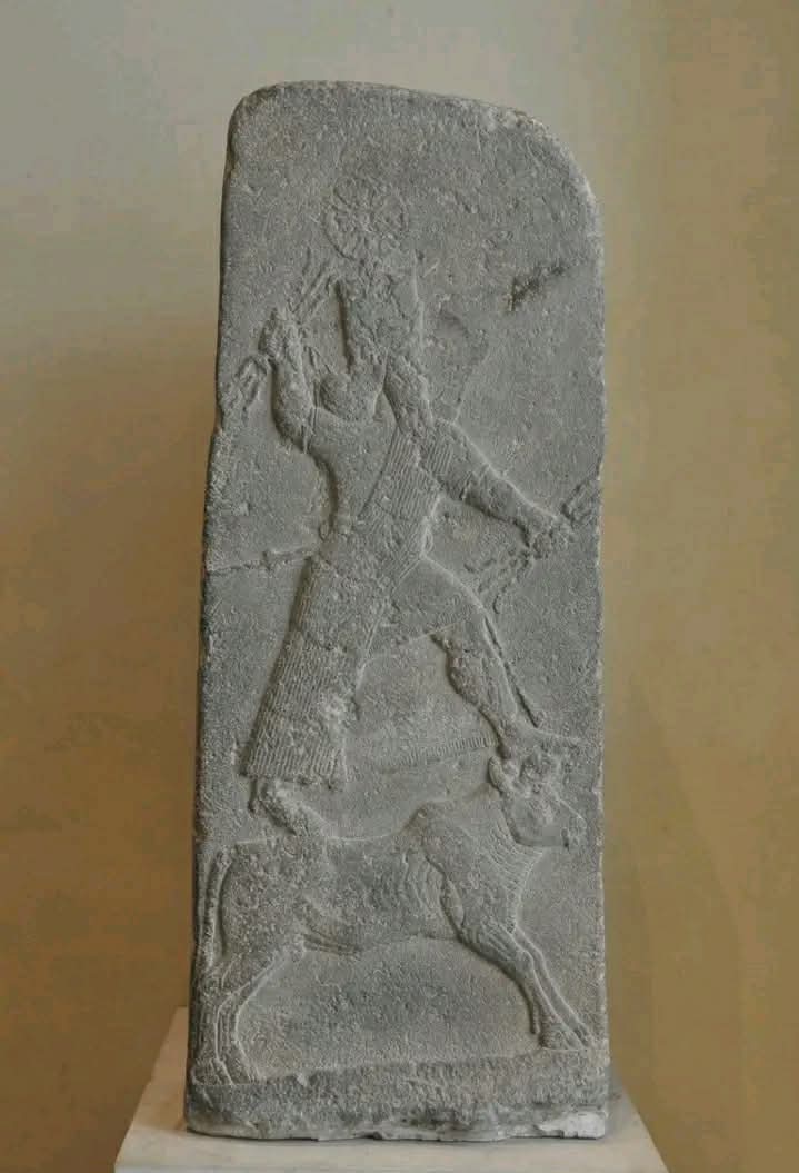 ��� ���� �� ���� ��� 