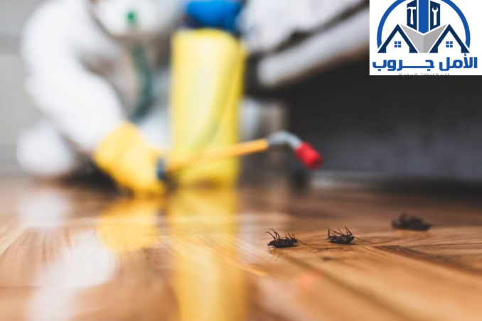شركة مكافحة حشرات بالرياض 