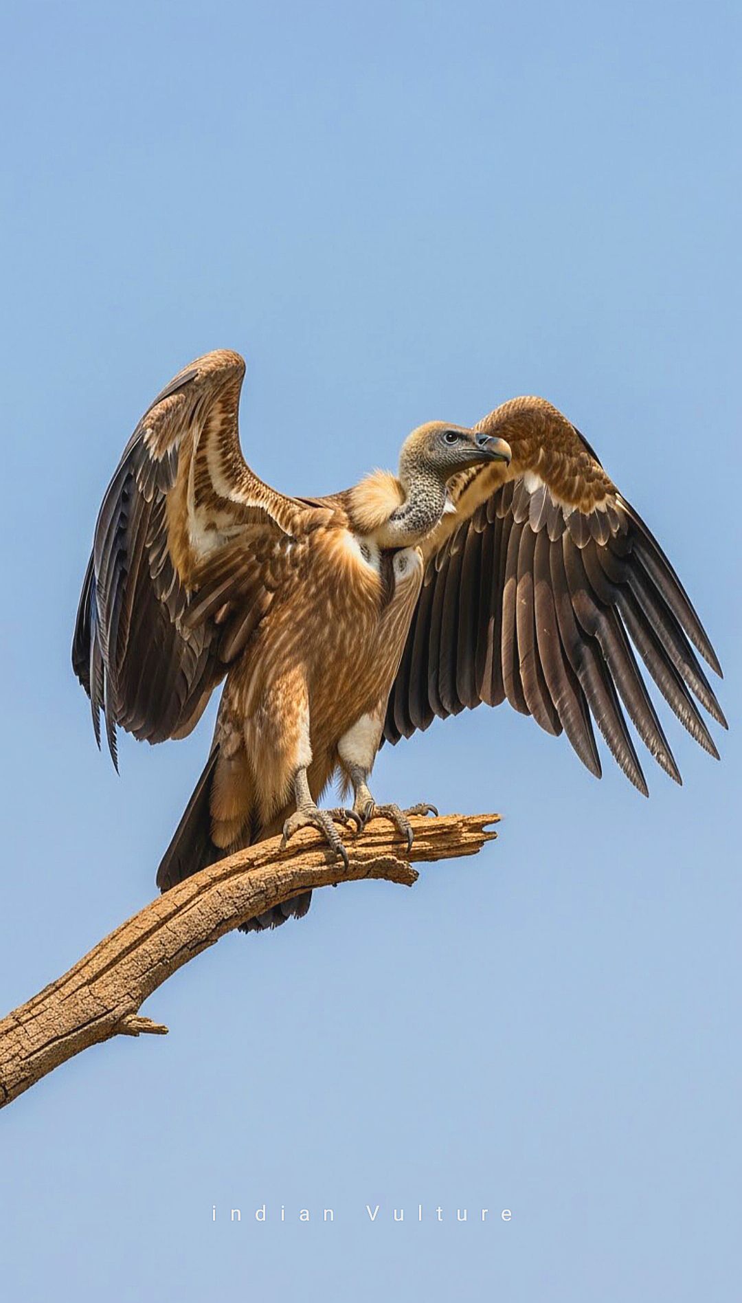 ������ ���� ������ �� ���� ������