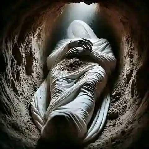 ������ ���� ������ �� ���� ������