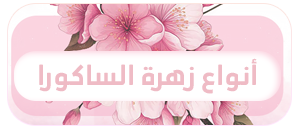 p_3777jdz0j1.png