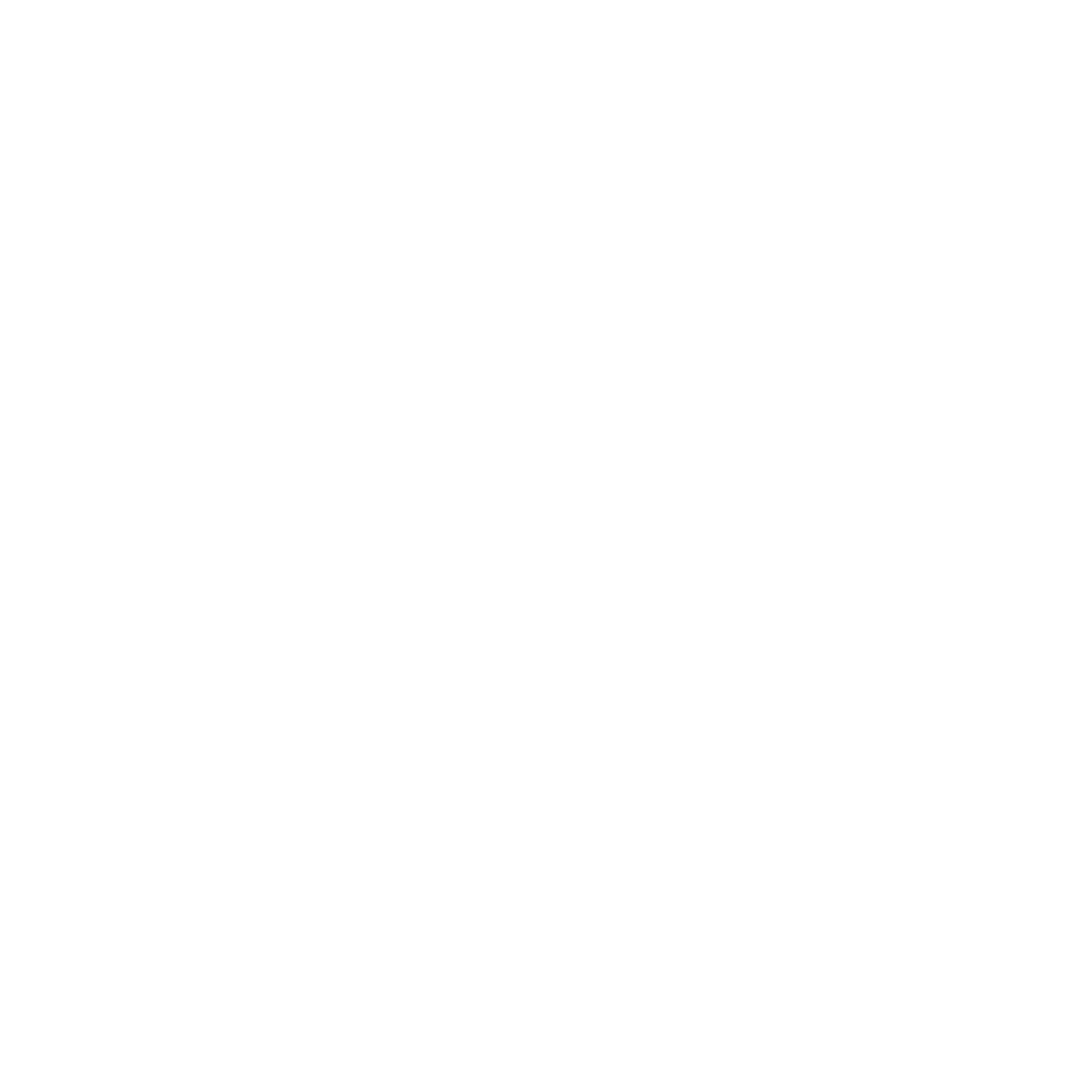 رحلة الطائر الصغير